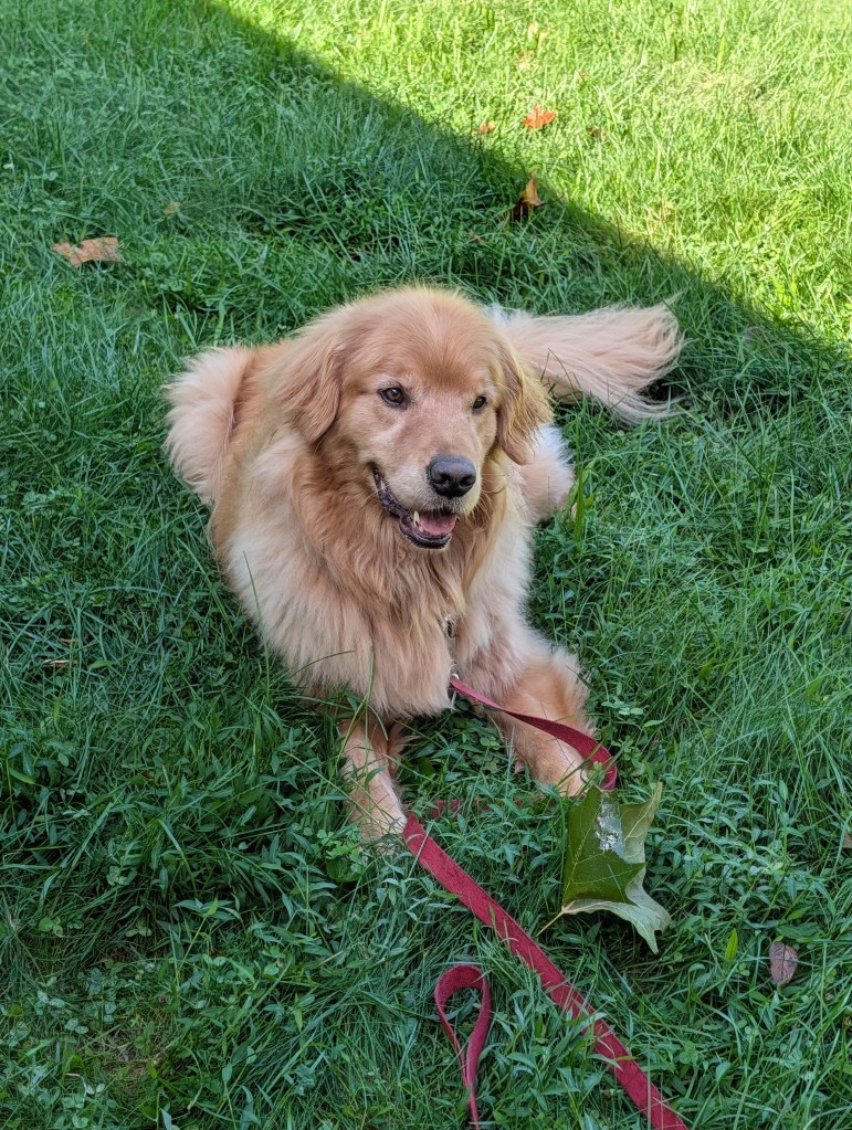 Emmett